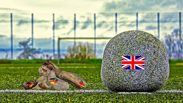 展示了其在 展示了其在