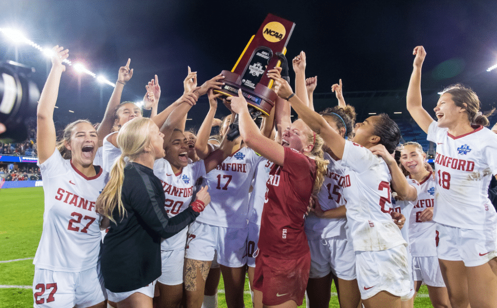 季奠定了信 季奠定了信