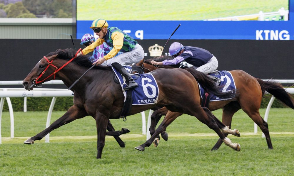 本次交易失 本次交易失